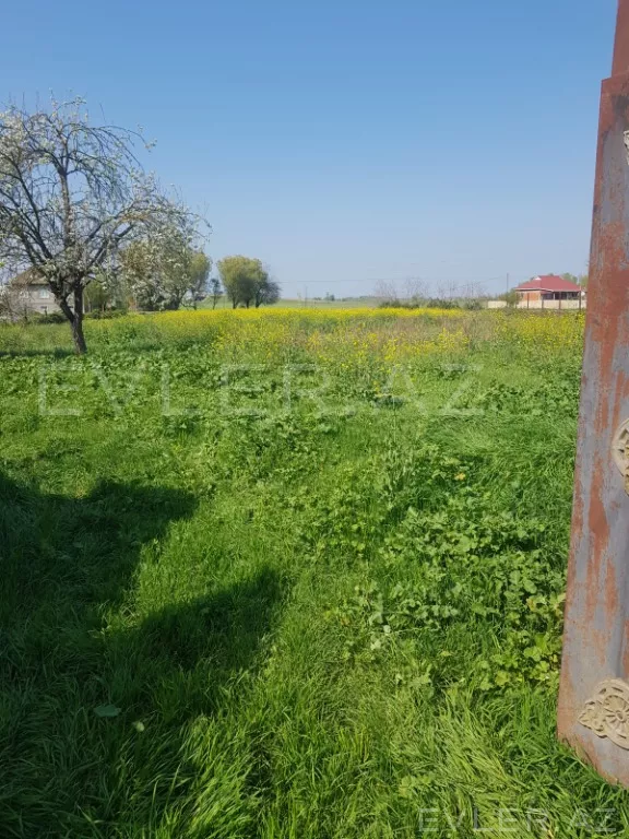 Satılır, həyət evi/villa