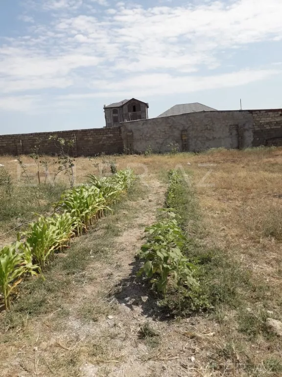 Satılır, torpaq