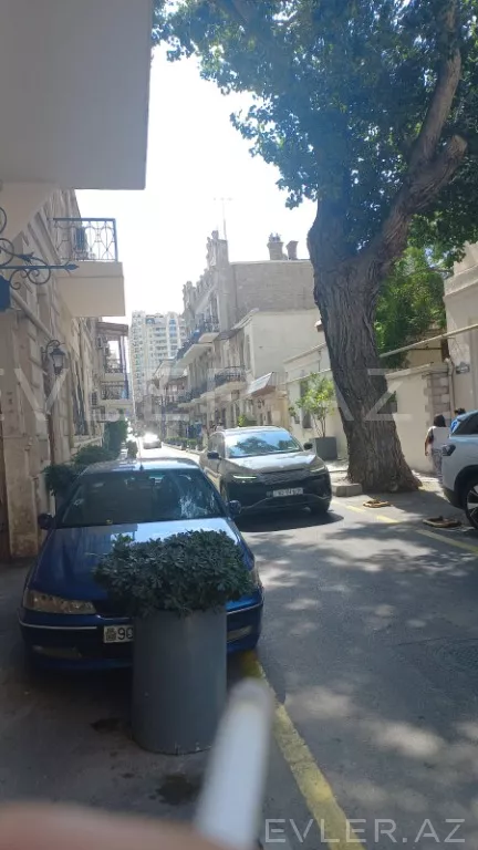 Aylıq, yeni tikili