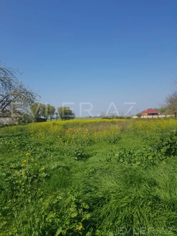Satılır, həyət evi/villa