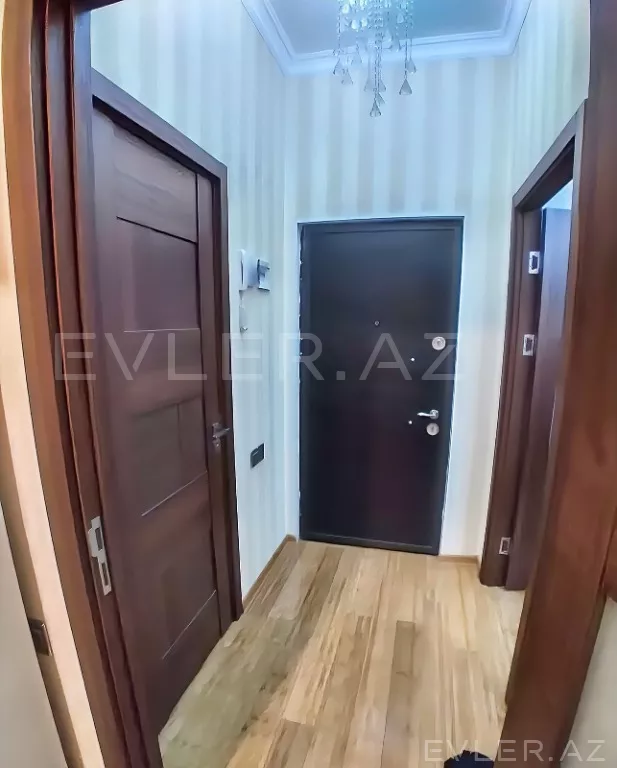 Aylıq, yeni tikili
