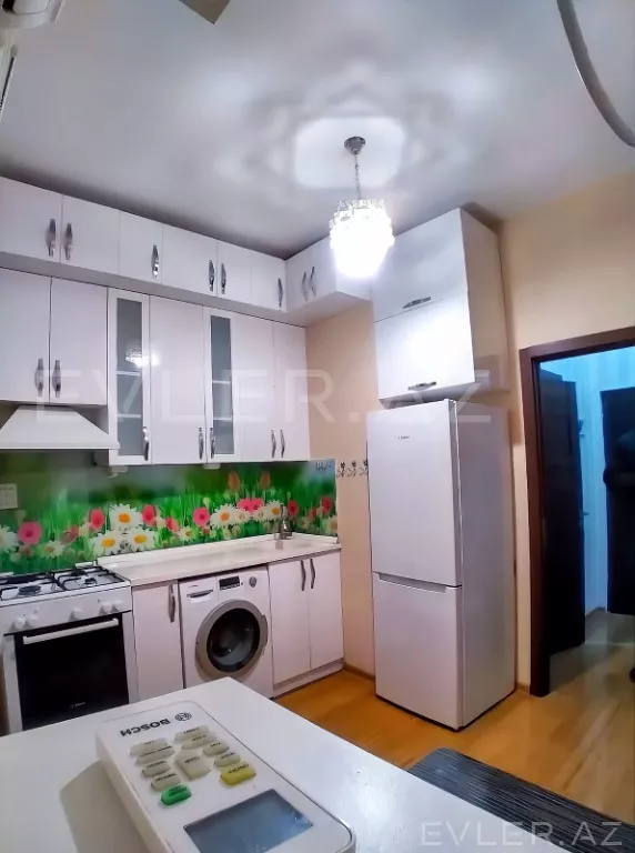 Aylıq, yeni tikili
