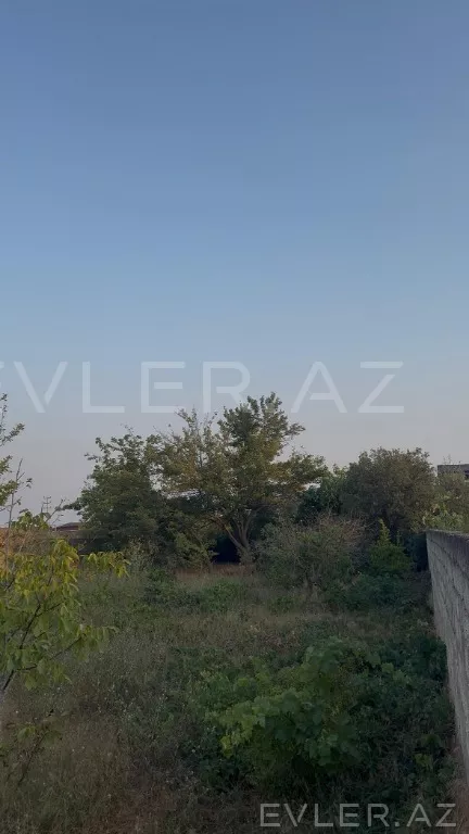Satılır, torpaq