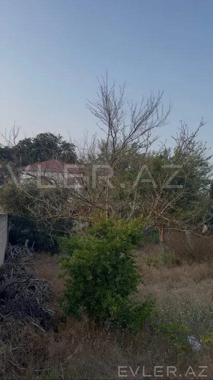 Satılır, torpaq