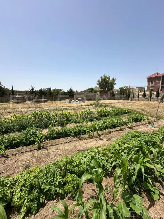 Satılır, torpaq