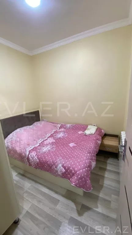 Aylıq, yeni tikili