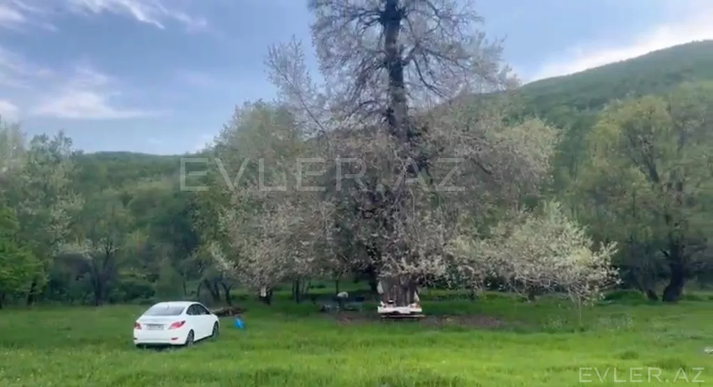 Satılır, torpaq