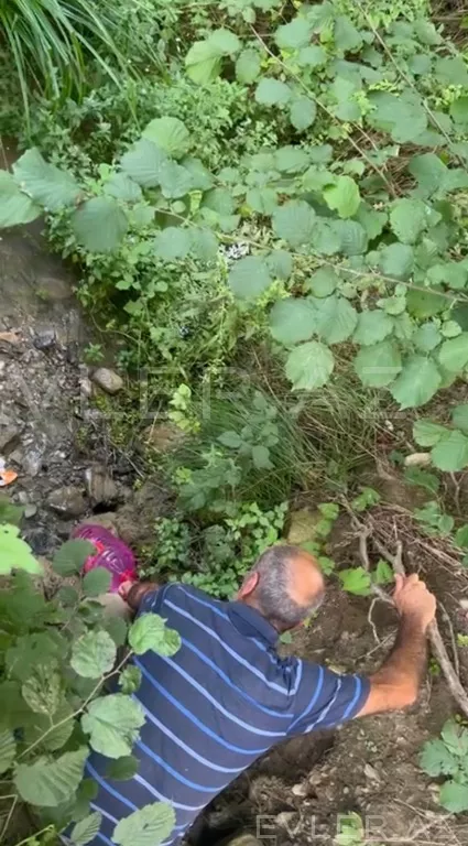 Satılır, torpaq