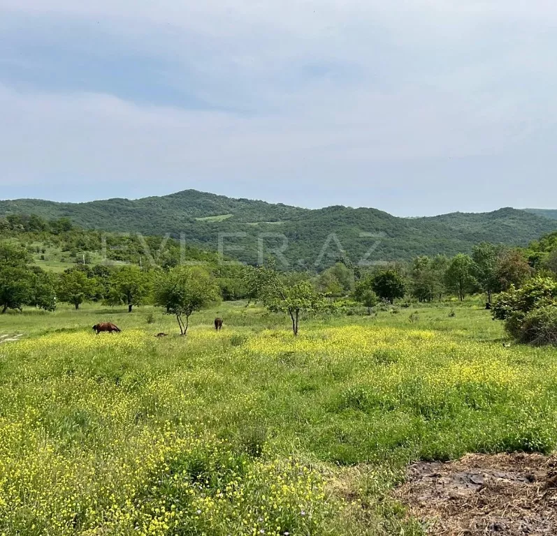 Satılır, torpaq