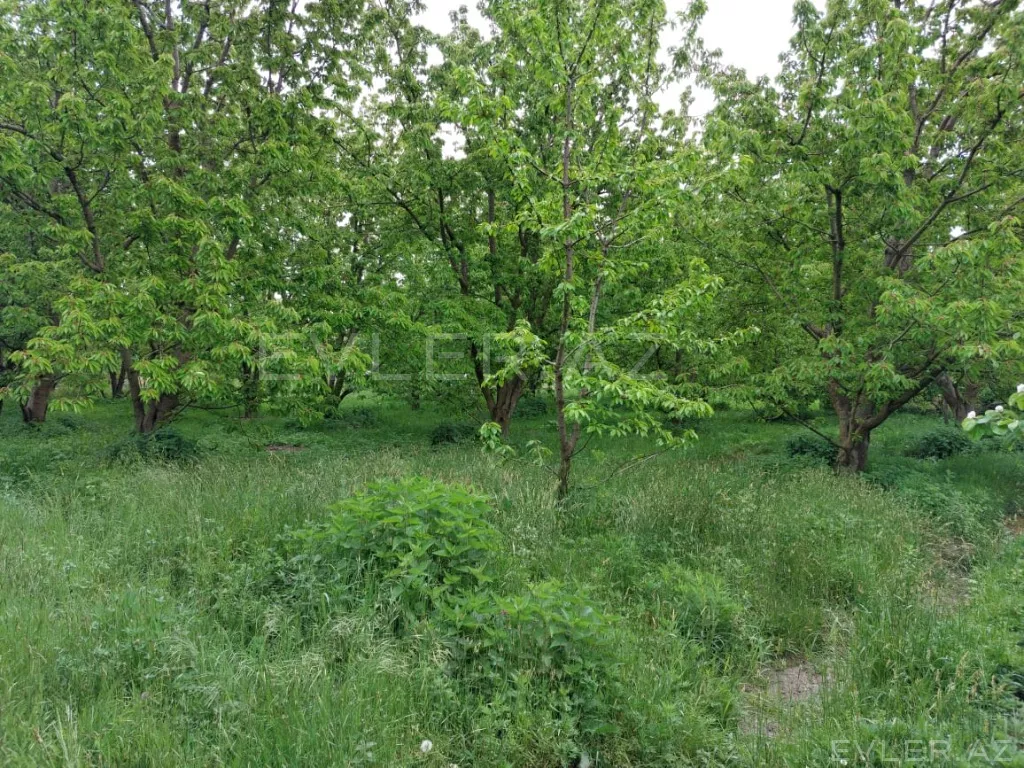 Satılır, torpaq