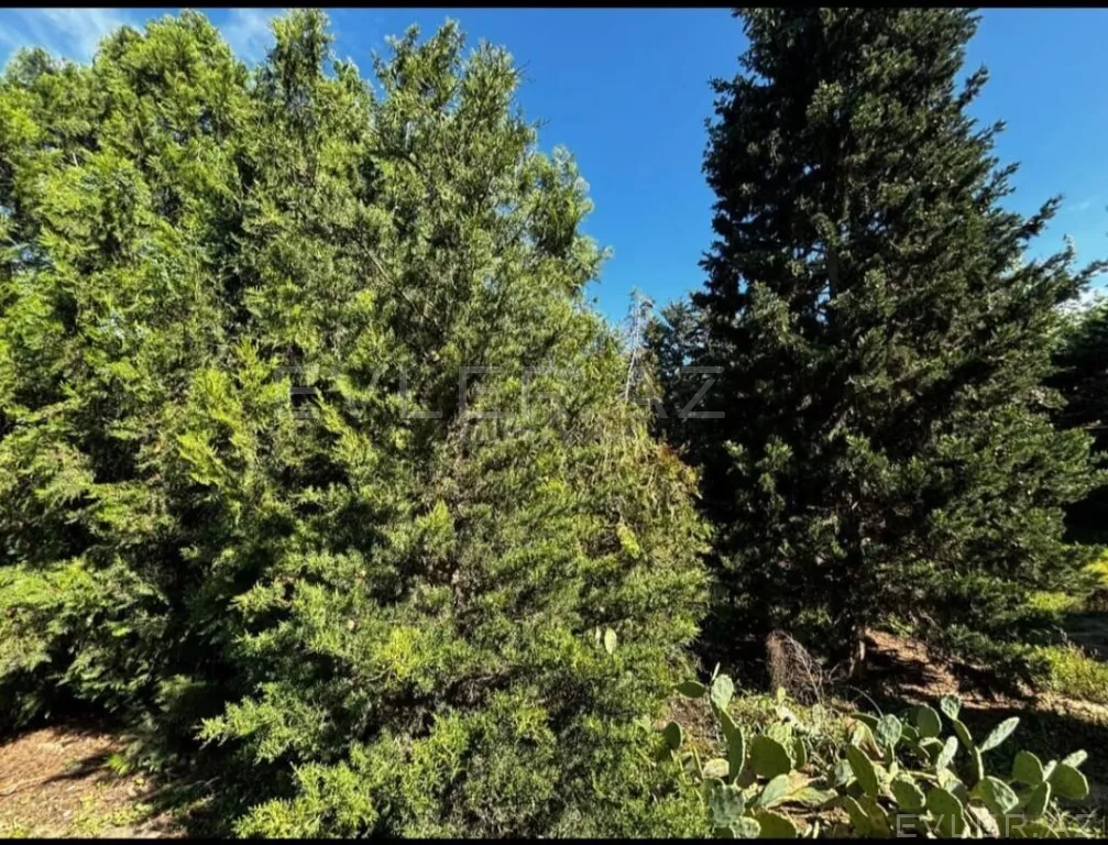 Satılır, torpaq