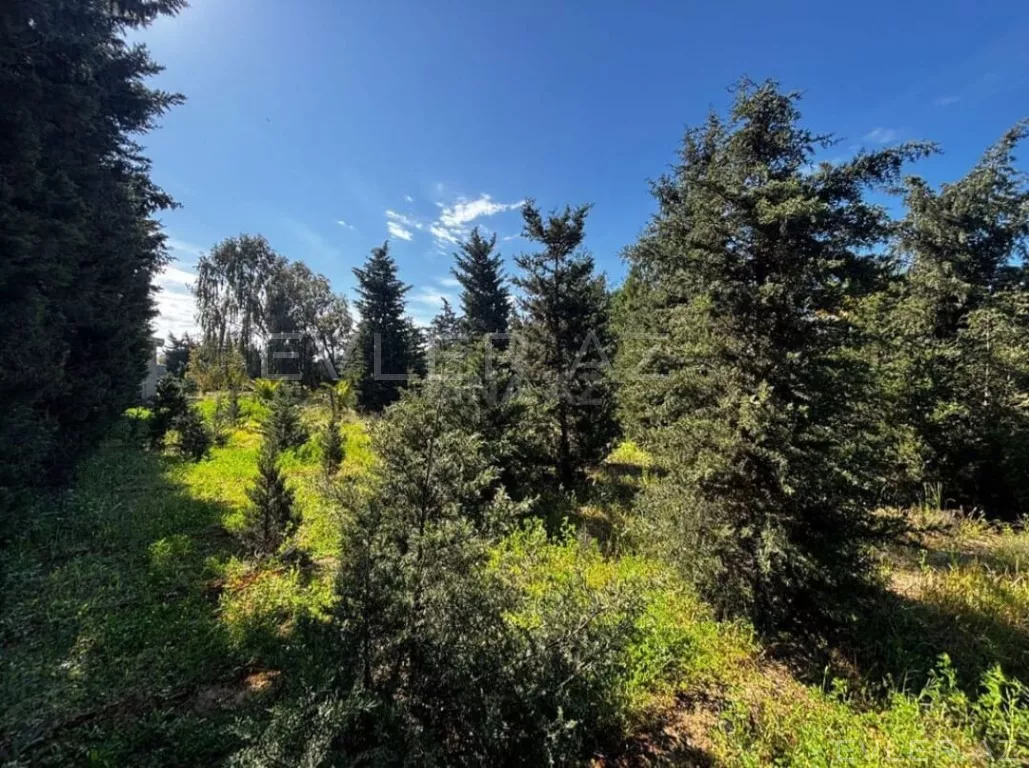 Satılır, torpaq
