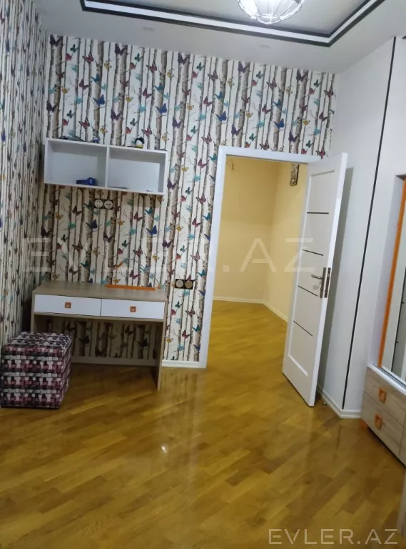 Aylıq, yeni tikili