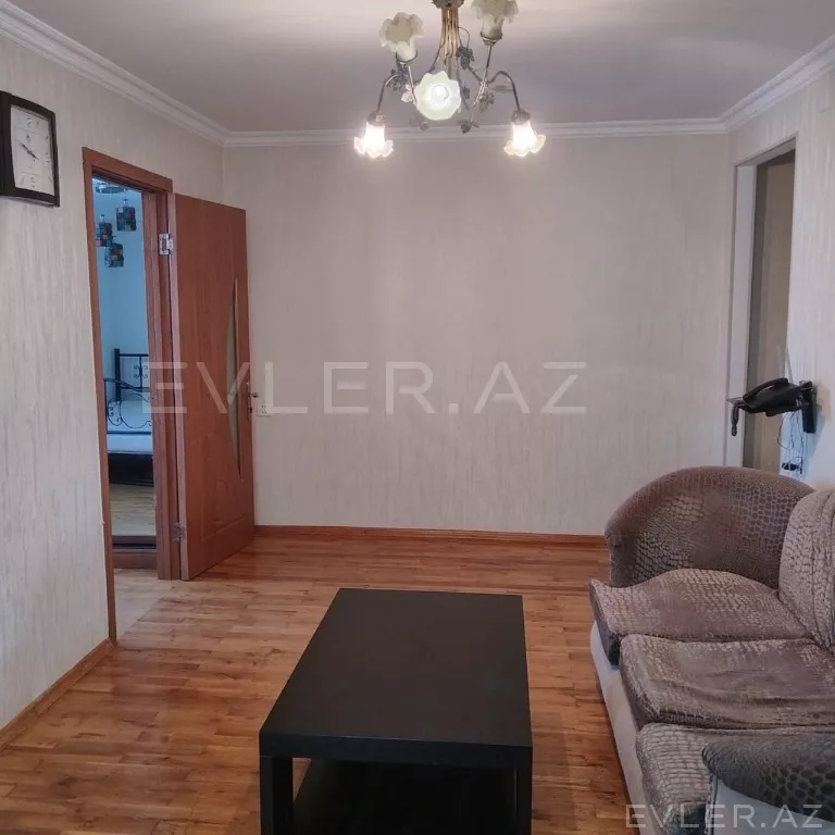 Aylıq, yeni tikili