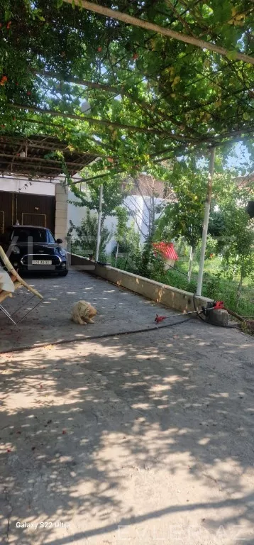 Satılır, həyət evi/villa
