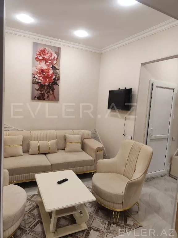 Aylıq, yeni tikili