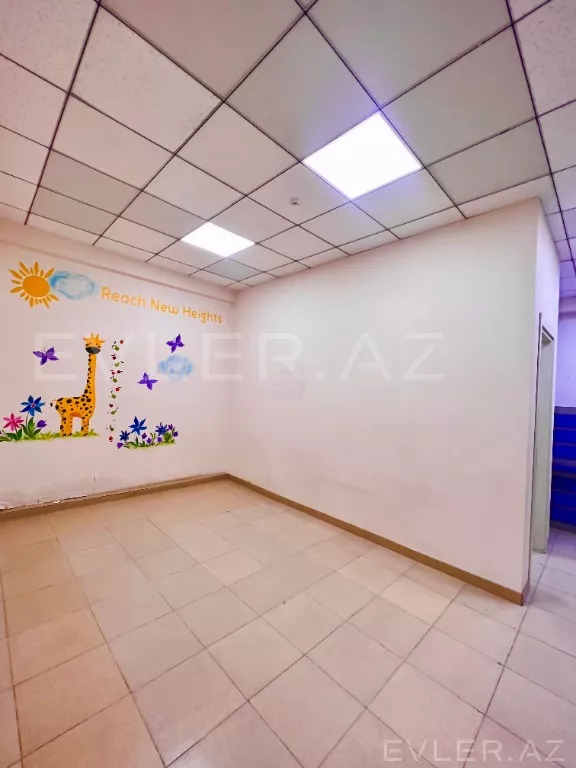 Aylıq, yeni tikili