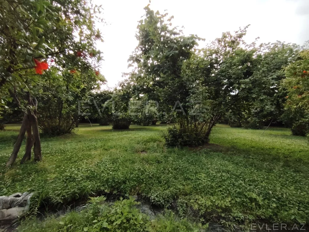 Satılır, həyət evi/villa