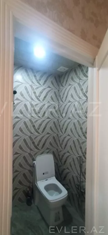 Aylıq, yeni tikili