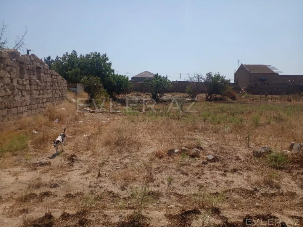 Satılır, torpaq