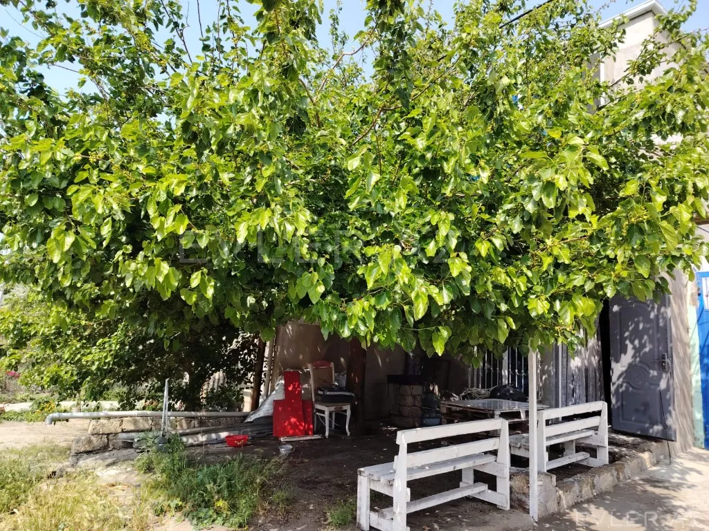 Satılır, həyət evi/villa