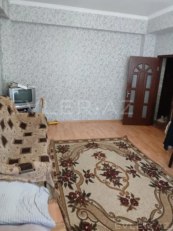 Aylıq, yeni tikili