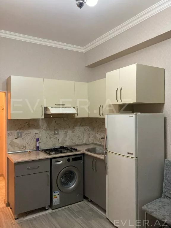 Aylıq, yeni tikili