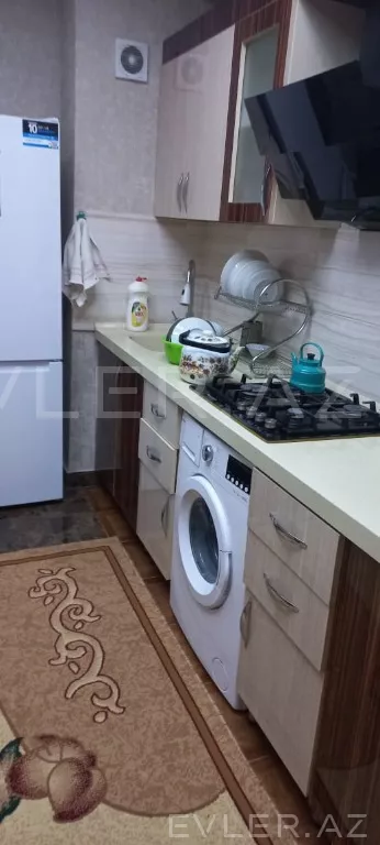 Aylıq, yeni tikili