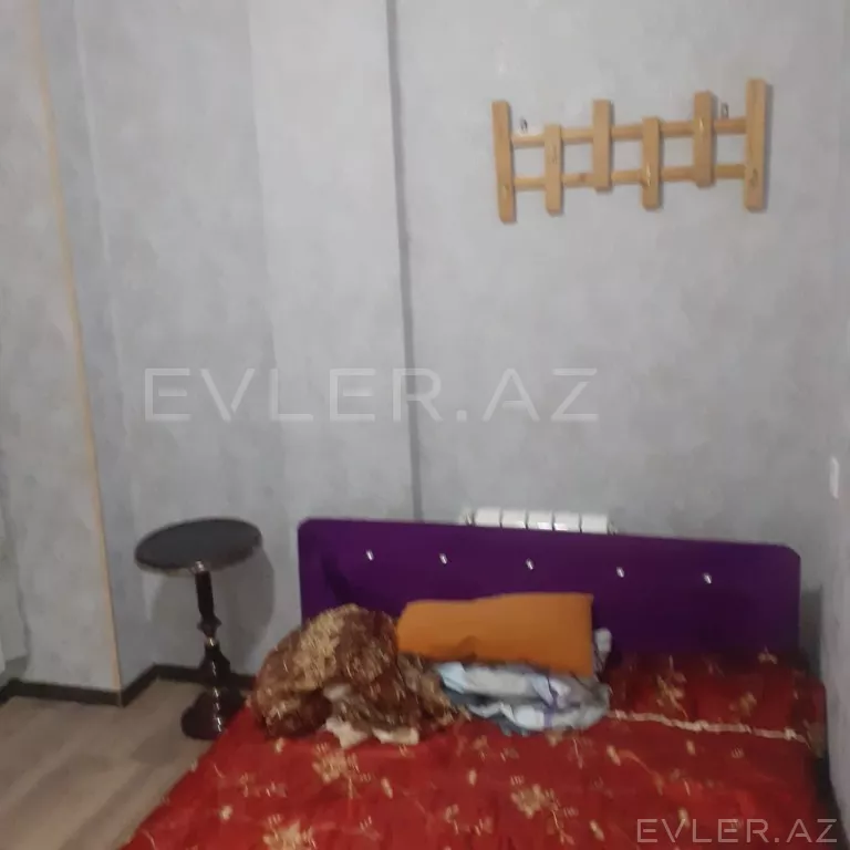 Aylıq, yeni tikili