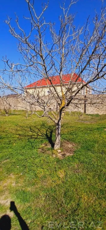 Satılır, torpaq