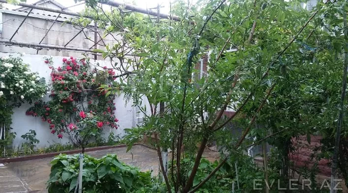 Satılır, həyət evi/villa