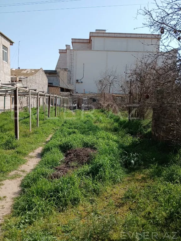 Satılır, yeni tikili