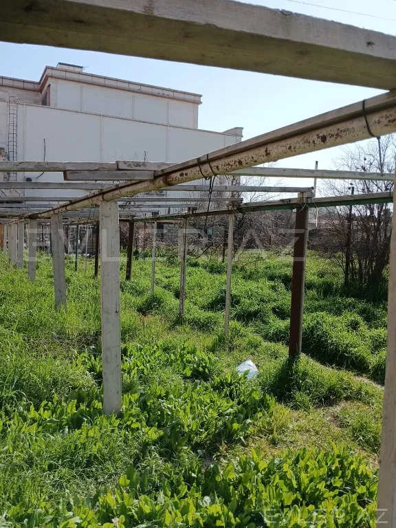 Satılır, yeni tikili
