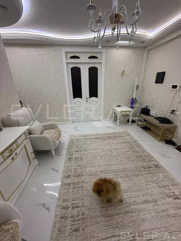 Aylıq, yeni tikili