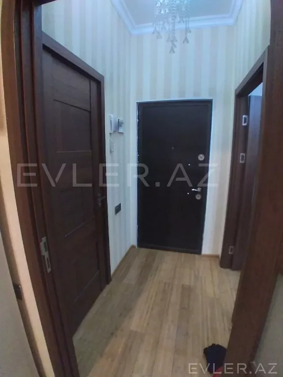 Aylıq, yeni tikili
