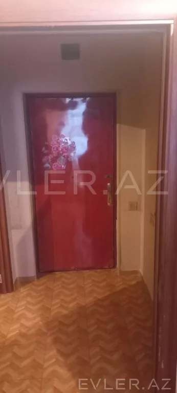 Aylıq, yeni tikili