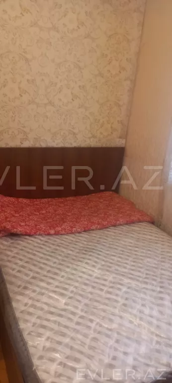 Aylıq, yeni tikili