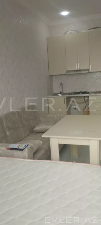 Aylıq, yeni tikili