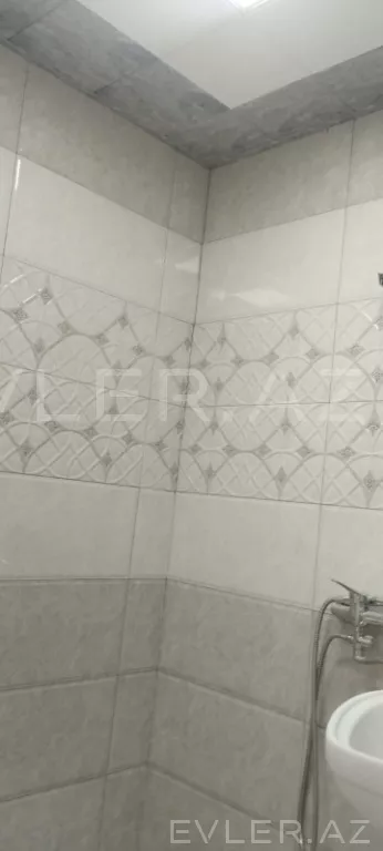 Aylıq, yeni tikili