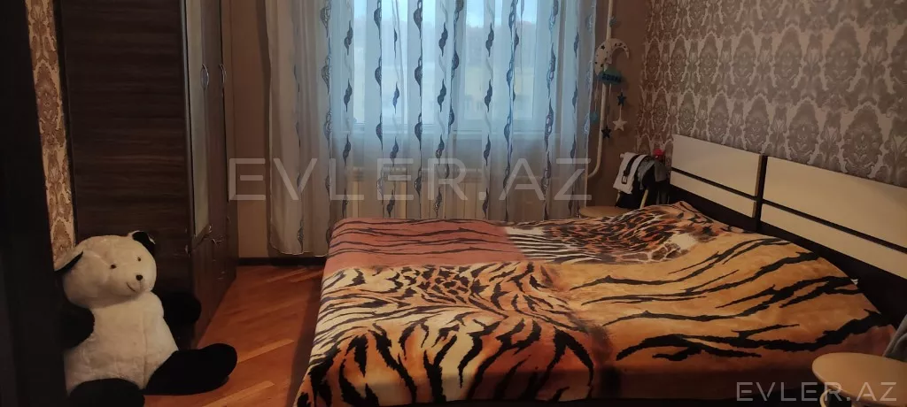 Aylıq, yeni tikili
