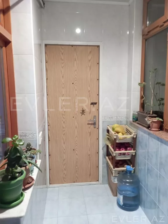 Aylıq, yeni tikili