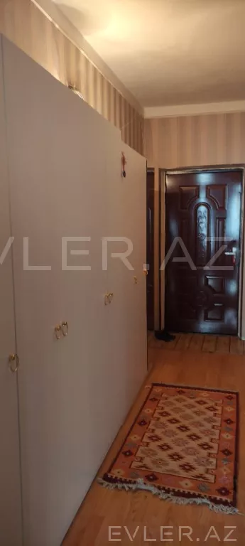 Aylıq, yeni tikili