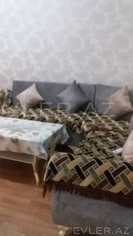 Aylıq, yeni tikili