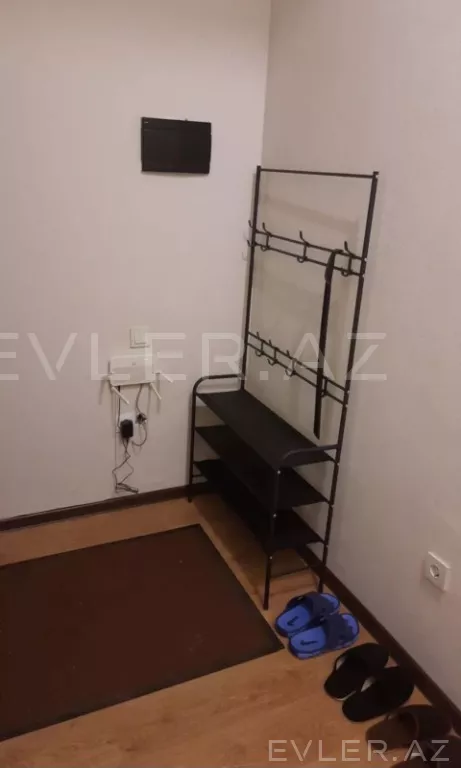 Aylıq, yeni tikili