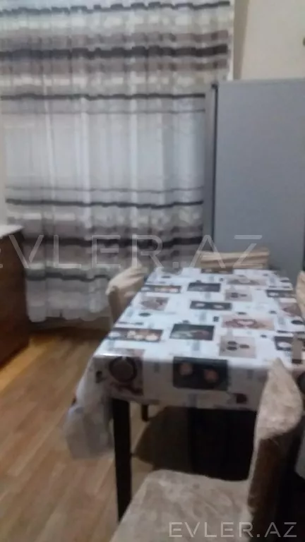 Aylıq, yeni tikili
