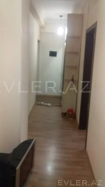 Aylıq, yeni tikili