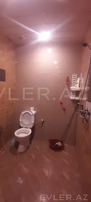Aylıq, yeni tikili