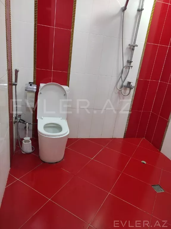 Aylıq, yeni tikili