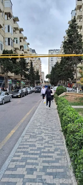 Aylıq, yeni tikili