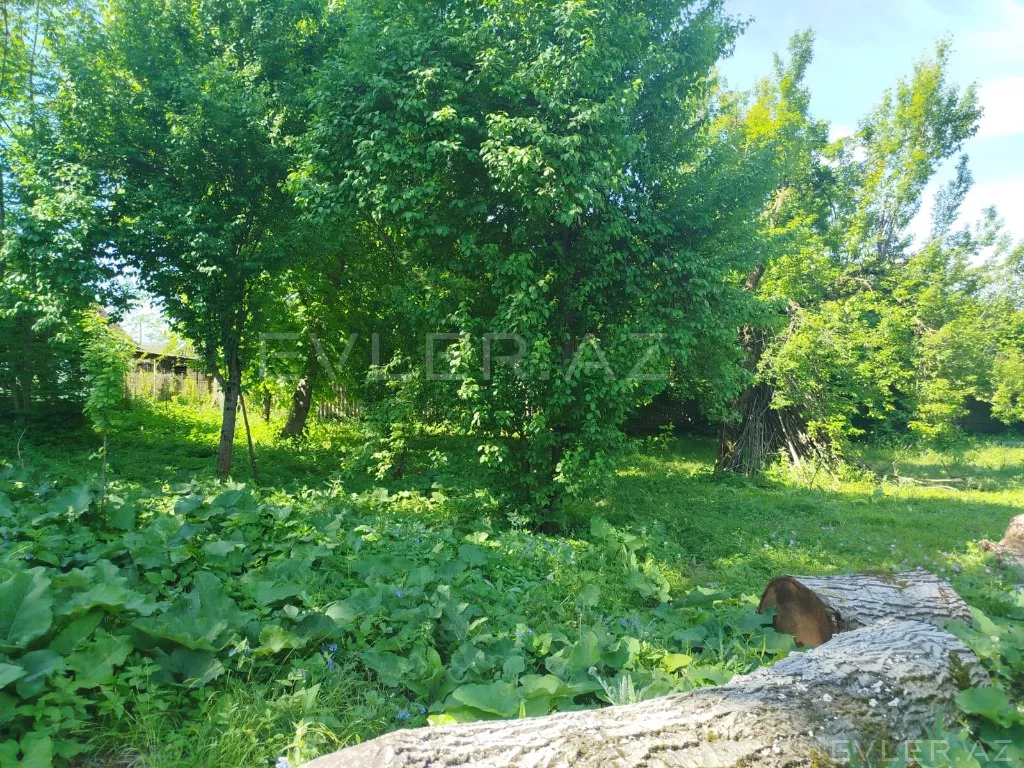 Satılır, torpaq